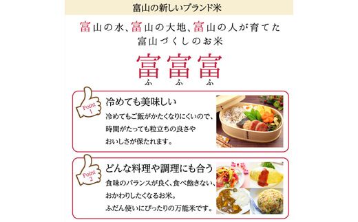 富山県ブランド米 富富富 精米 10kg ふふふ ブランド米 国産 米 お米 日本米 ギフト 贈り物 備蓄 防災 食品 陽咲玲 はるざれ F6T-1011