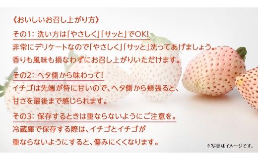 白いちご DX 約1kg (250g×4P)【2027年1月上旬発送開始】(茨城県共通返礼品：大子町) 苺 いちご イチゴ 果物 フルーツ おやつ
