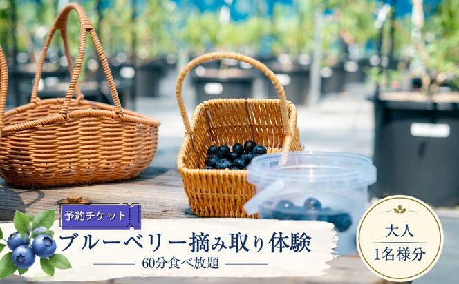 159-3168-01　【2027年5月上旬～7月上旬発送予定】【予約チケット】ブルーベリー摘み取り体験（60分食べ放題）大人1名様分【 神奈川県 大磯町 】