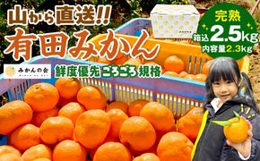 みかん 山から直送 箱込 2.5kg ( 内容量約 2.3kg ) 鮮度優先ごろごろ規格 和歌山県産 産地直送 家庭用［2025年11月中旬より2026年1月中旬頃順次出荷予定］［みかんの会］	AX214