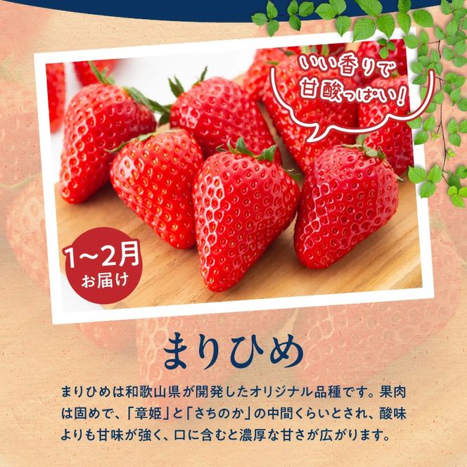 G60-T78_【定期便 全3回】紀州和歌山産旬のフルーツ定期便（田村みかん、いちご、紀州デコ）