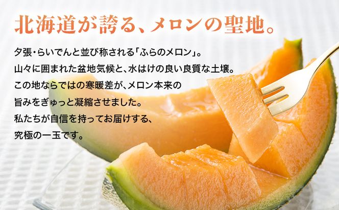 【2026年7～9月連続お届け】3品種 ふらの メロン 定期便 ≪計3玉≫ 北海道 富良野市 (高見農園) メロン フルーツ 果物 新鮮 甘い 贈り物 ギフト 道産 ジューシー おやつ ふらの ブランド 夏 