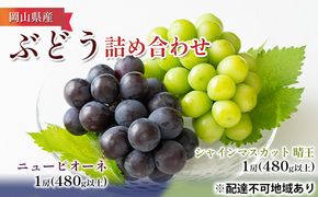ぶどう 2026年 先行予約 詰め合わせ ニュー ピオーネ 1房（480g以上）・ シャイン マスカット 晴王 1房（480g以上）化粧箱入り ブドウ 葡萄  岡山県産 国産 フルーツ 果物 ギフト 
