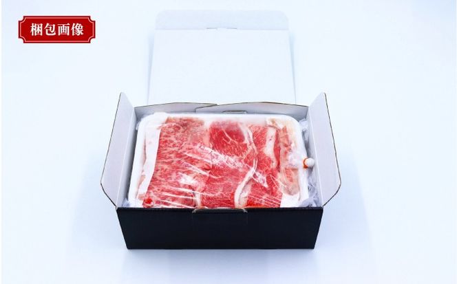 【3回定期便】長崎和牛 焼き肉 食べ比べセット もも カルビ 600g / 牛肉 焼肉 やき肉 ぎゅうにく / 南島原市 / 贅沢宝庫[SDZ067]