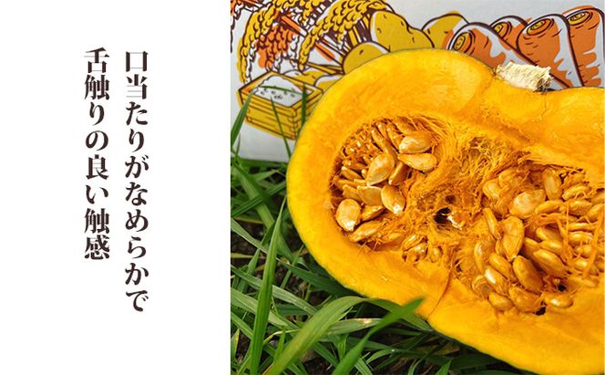 【2026年秋～発送】北海道 富良野産 くりゆたか カボチャ 10kg かぼちゃ (山本農園) 野菜 新鮮 直送 いも 道産 送料無料 数量限定 先着順 北海道 富良野市 ほくほく 秋
