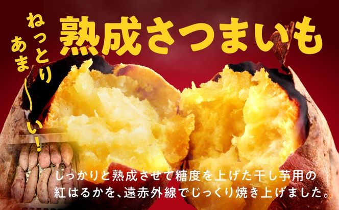 099Z505 【定期便】干し芋屋の焼き芋 約2kg 紅はるか 全2回 【2026年8月＆2026年11月発送】