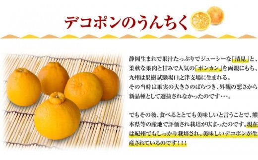  デコ不知火 約2.8kg サイズおまかせ / デコポン 不知火 みかん 蜜柑 柑橘 果物 フルーツ 紀伊国屋文左衛門本舗 ※2027年2月上旬～4月上旬頃順次発送予定(お届け日指定不可)　【kmtb010-r-2d8】