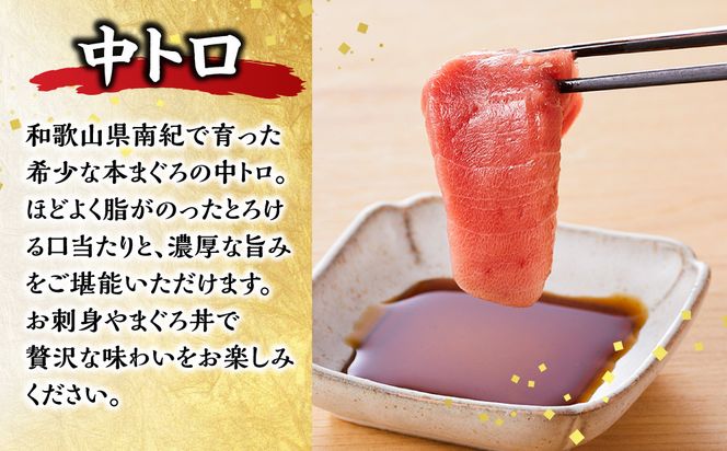 本マグロ（養殖）トロ＆赤身セット 240g［KS11］ 303446_BA1001