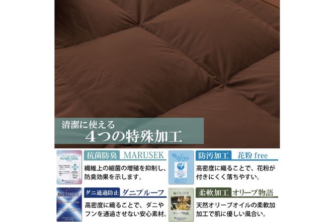 【春夏用】洗える 羽毛 肌掛け布団 シングル ホワイトダックダウン 85% 0.4kg (無地 ブラウン) [川村羽毛 山梨県 韮崎市 20743636] 掛け布団 布団 羽毛布団 ダウンケット ふとん 肌掛け ダウンケット 寝具 