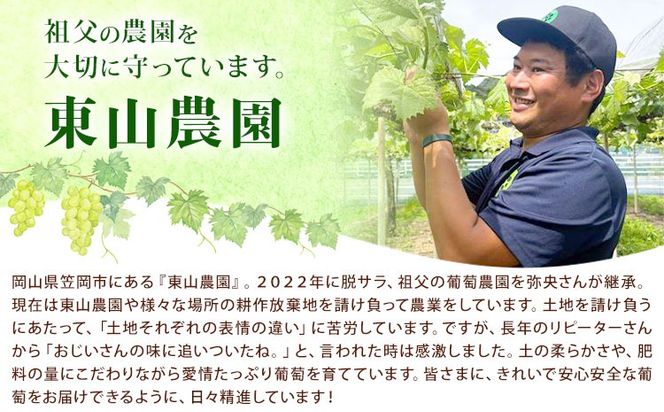 東山ワイン2025 750ml 藤稔 東山農園《30日以内に出荷予定(土日祝除く)》 岡山県 笠岡市 ブドウ 葡萄 ギフト お取り寄せ 送料無料---H-96---