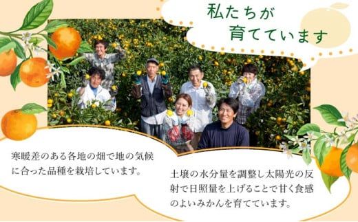 【期間限定】 ＜選べる種類と内容量＞さがみかん （5代目みかん or 蔵入りみかん) (4.5kg or 9.5kg）【温州みかん 甘い 濃厚 ジューシー コク 完熟 熟成みかん 蔵出し 蔵入り 柑橘 密柑 ギフト 果物 フルーツ 佐賀県産 佐賀県 大和 太良 石橋果樹園 人気】