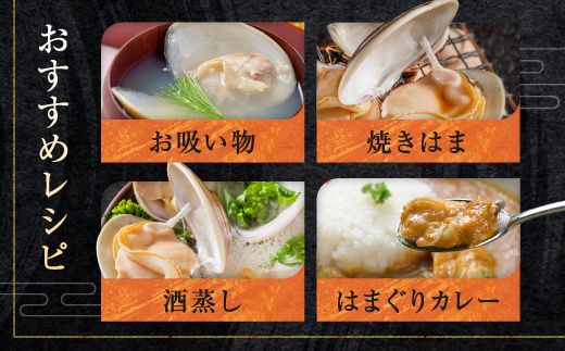 大洗産鹿島灘天然はまぐり 5kg 冷蔵 漁協直送 お吸い物 ハマグリ 蛤 貝 砂抜き処理 魚介類 大洗産 天然 はまぐり