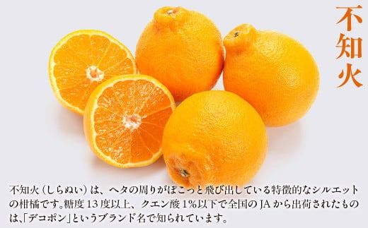 【先行予約】【数量限定】不知火5kg（石崎農園）※離島への配送不可 （2026年2月10日より順次発送予定） IKTAG002 