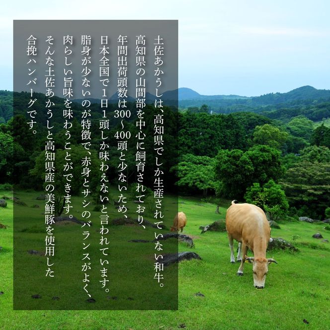 幻のあかうし和牛ハンバーグ 10個入り 1個130g 田野屋青蜂 白鯆 完全天日塩練り込み 肉 お肉 国産牛 土佐あかうし 四万十ポーク おかず 惣菜 おいしい お取り寄せ 冷凍 配送 高知県 田野町