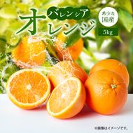 G7079_ 希少 国産 秀品 バレンシアオレンジ 5kg 果汁 豊富 糖度 高い 甘い 爽快感 香り 酸味 味わい スッキリ 栄養補給 柑橘 オレンジ 果物 フルーツ 果実 食品 食べ物 おやつ デザート お取り寄せ お取り寄せフルーツ 和歌山県 湯浅町 送料無料