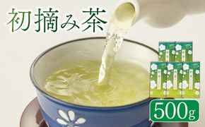 【5月中旬以降発送】 新茶 藤枝産 初摘み 500g 茶 お茶 初摘み茶 緑茶 日本茶 静岡茶 藤枝茶 静岡県 藤枝市