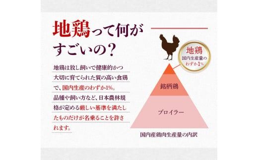はかた地どり 炭火焼 セット100g 5p 計500g [MEAT PLUS 福岡県 宇美町 um40azp010031] 炭火焼鳥 炭火焼き 鶏肉 地鶏 博多地鶏 はかた地鶏 博多地どり