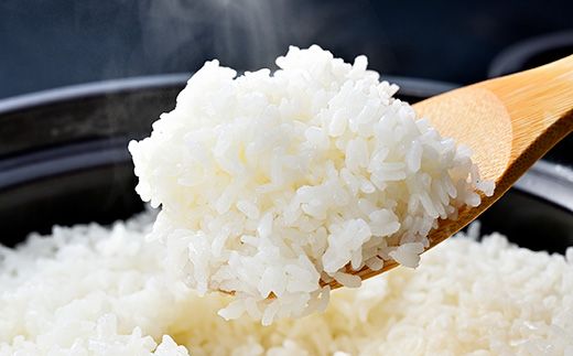 【新米】令和8年産冷めても美味しいあっさりとした味わい「みずかがみ」白米【5kg】【C014W2】（滋賀県　近江八幡市）
