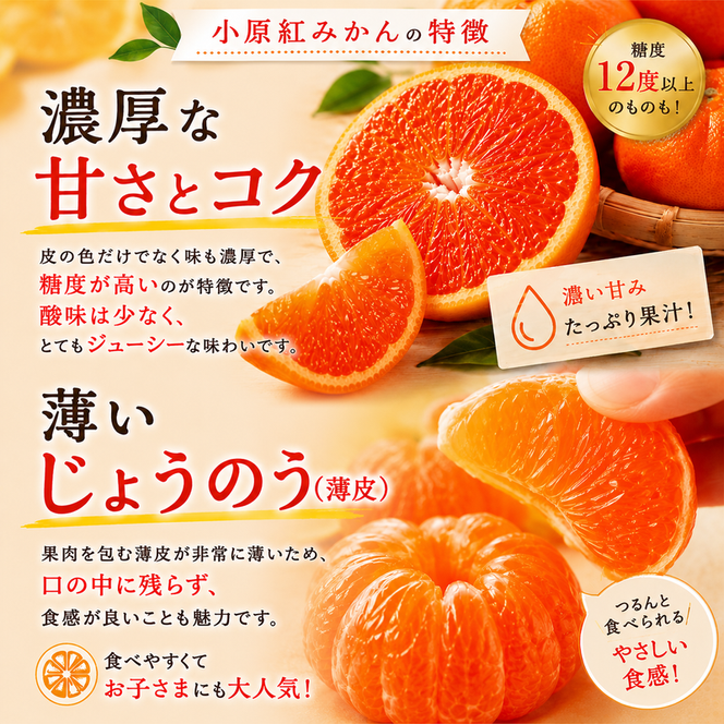 東かがわ市のちょこっと食卓応援品「小原紅みかん 2kg」