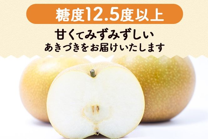 数量限定 利府梨（あきづき）5kg（10玉前後）先行受付 [先行予約 今が旬 甘い ブランド 梨 果物 フルーツ 美味 おいしい 宮城県 利府町 伊藤農園]|06_ine-010501