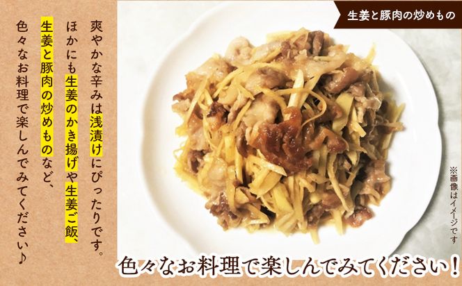 生姜 2kg 香南市産 別役の生姜 - 生姜 しょうが ショウガ ジンジャー 薬味 調味料 国産 株式会社べっちゃく 高知県 香南市 生姜焼き bc-0025