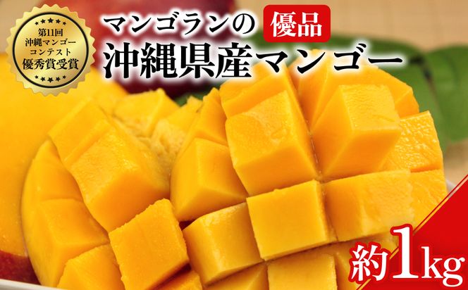 【 先行予約 2026年発送 】マンゴランのこだわりマンゴー 1kg