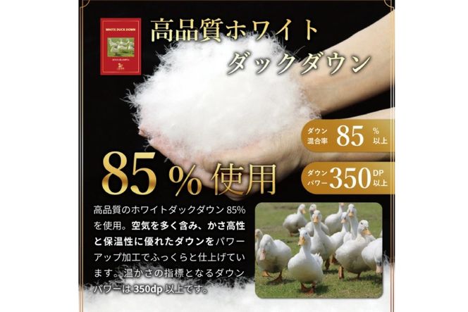 【春夏用】洗える 羽毛 肌掛け布団 シングル ホワイトダックダウン 85% 0.4kg (無地 ブラウン) [川村羽毛 山梨県 韮崎市 20743636] 掛け布団 布団 羽毛布団 ダウンケット ふとん 肌掛け ダウンケット 寝具 