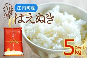 【令和8年産】庄内町産 はえぬき 5kg 5kg×1袋 余目産 余目町農協 あまるめ ブランド米 米 国産 単一原料米 山形 庄内平野