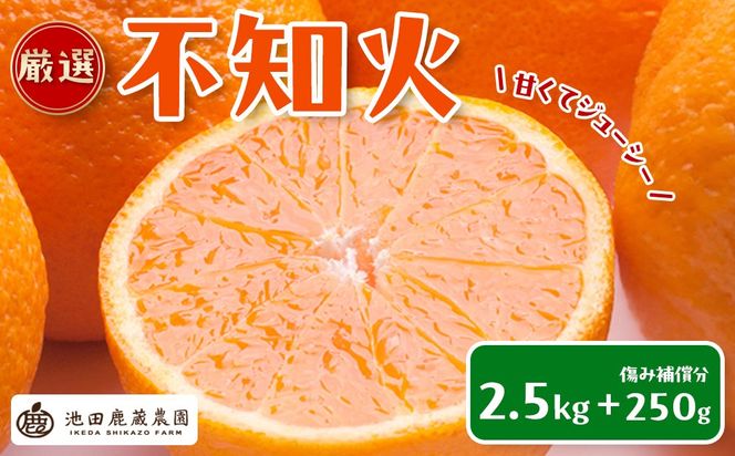［先行予約］厳選 不知火2.5kg+250g（傷み補償分）［デコポンと同品種・人気の春みかん］ CZ119