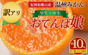 【先行予約】【訳あり】紀州和歌山産 温州みかん「おてんば娘」約10kg（箱込み）S～2L サイズ混合（早生・中生）