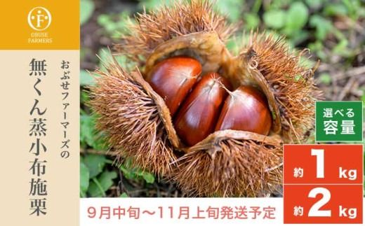 無くん蒸小布施栗 約1kg 約2kg 選べる内容量 [おぶせファーマーズ] 果物 フルーツ 生栗 くり 長野県産 信州産 令和7年産 [2025年9月中旬〜11月上旬発送]