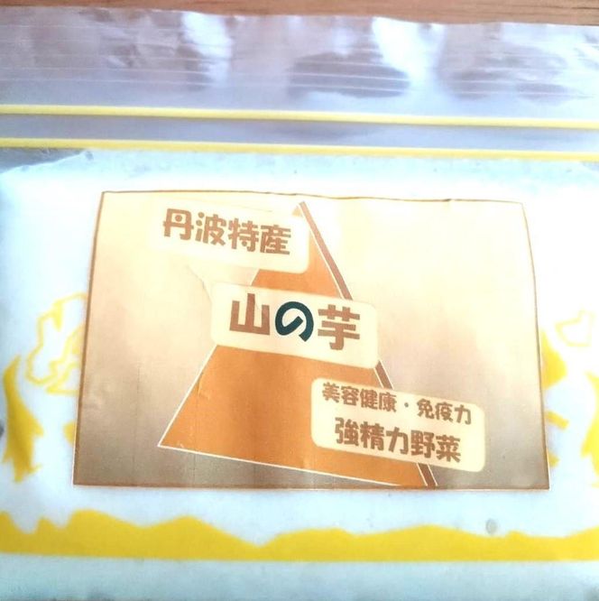 【芋家なか吉】丹波山の芋すりおろし 冷凍 とろろ１kg (10パック) ［ 京都 芋 いも イモ 便利 小分け 新鮮 人気 おすすめ お取り寄せ 通販 ふるさと納税 ］ 261009_B-SG06