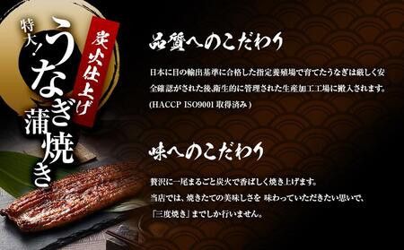 うなぎ蒲焼き2尾入り 430g～480g（蒲焼たれ4袋 山椒付き）［KS5］ 303446_BA1014