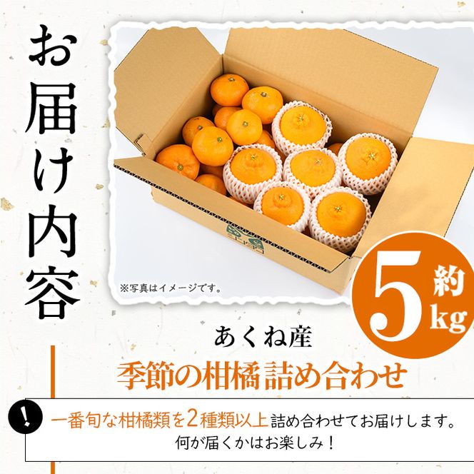 ＜先行予約受付中！2026年12月上旬以降順次発送予定＞竹ん子山の季節の柑橘詰め合わせ(約5kg) 国産 鹿児島県産 阿久根産 柑橘 果物 温州みかん ミカン 蜜柑 ボンタン ぼんたん 文旦 しらぬい しらぬひ 不知火 サワーポメロ フルーツ 果実 期間限定 セット 詰合せ バラエティ 【竹ん子山】akn097-13