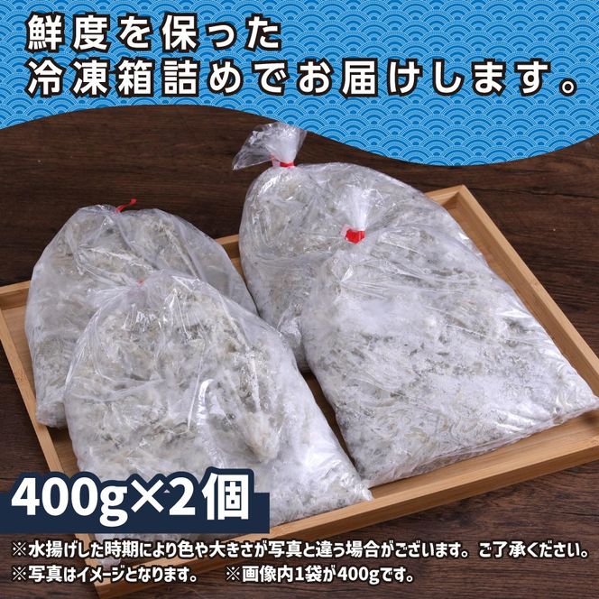 【CF-R7hbk】MMK014 訳あり釜揚げシラス400g×2個 高知県産 釜揚げしらす 簡易梱包 わけあり 不揃い シラス 国産 釜揚げ 新鮮 しらす丼 海鮮丼 お茶漬け 冷凍配送 塩分控えめ お取り寄せ
