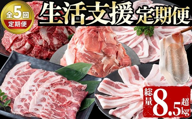 【定期便全5回】生活支援定期便(5ヶ月連続・総量8.5kg以上) t0066-008