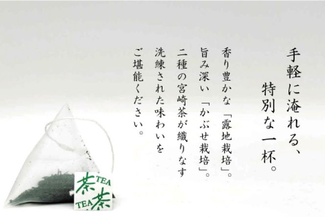 お茶 プレミアム ティーバッグ 露ぶせ 3g 12個 [谷岩茶舗 宮崎県 日向市 452061617] ティーパック 茶 緑茶 日本茶