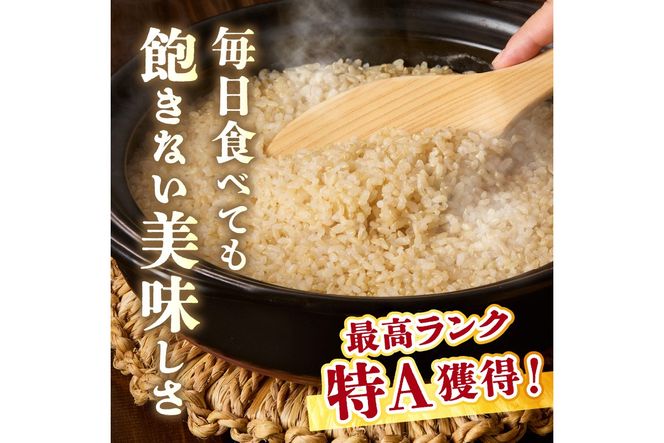 3月発送：直売所直送「令和7年産　京丹後市産　コシヒカリ」　玄米5kg ふるさと納税 米 玄米 特A 検査1等米 国産 こめ ごはん 京都産 コシヒカリ 農家応援 生産者応援 送料無料　JA00081S_03