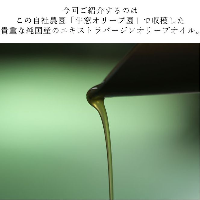 エキストラバージンオリーブオイル　うしまど【牛窓オリーブ園産100%】 食用油/オリーブオイル 調味料 
