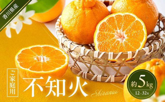 不知火 【ご家庭用】 約5kg 蜜柑 みかん ミカン 柑橘 フルーツ 果物 くだもの 果実 旬の果物 旬のフルーツ 香川 香川県 東かがわ市