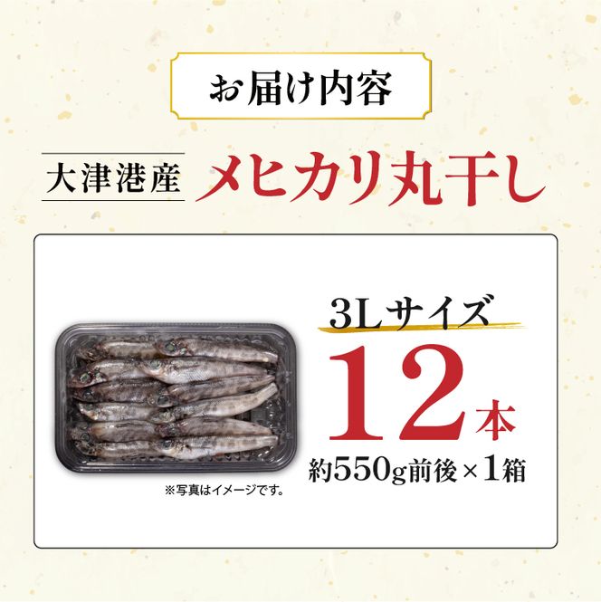 丸干し３Lめひかり(12本)【めひかり メヒカリ 3L 魚 海産物 茨城県 北茨城市 冷凍】（DM002）