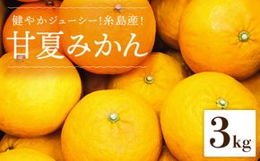 健やかジューシー・夏の味 糸島産甘夏みかんM〜L玉・約3kg 二丈赤米産直センター[ABB008]