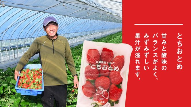 y錧}szn ƂƂ 2pbN s\ 嗱 C`S   t[c ʕ [AF056ci]