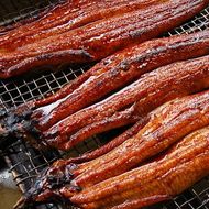 【ふるさと納税】職人の手焼き 活〆うなぎ蒲焼 2尾入り（計500g） うなぎ ウナギ 鰻 蒲焼き 蒲焼 関西風 タレ付き 国産 冷凍 3D凍結 高鮮度 お取り寄せ 丑の日 土用丑の日【1423346】 兵庫県 新温泉町 送料無料