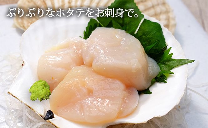 ジャンボホタテ貝柱 500g (12玉前後) 北海道 帆立 ホタテ ほたて 貝柱 ホタテ貝柱 玉冷 魚貝類 