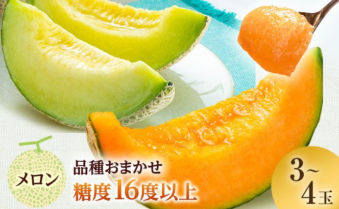 【先行予約2026年産】津軽産 減農薬栽培メロン 3～4玉 糖度16度以上保証！ 果物類 メロン青肉 フルーツ メロン赤肉 