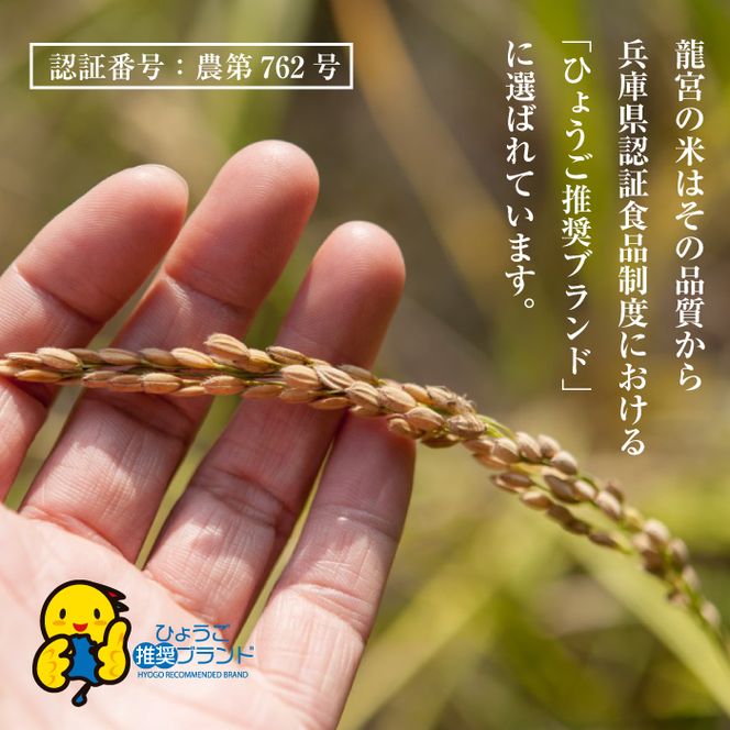 【定期便12ヶ月】龍宮の米 淡路島産 海藻肥料栽培米 5.0kg