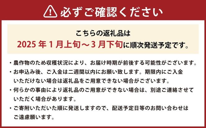 ギフト配送 約450g×2パック 計900g EX 福岡県産 あまおう 特別栽培【2025年1月上旬から3月下旬発送予定】 いちご 苺 イチゴ ベリー 果物 フルーツ お取り寄せ デザート おやつ