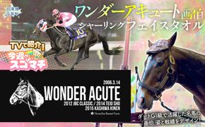 【TVで紹介！】【ワンダーアキュート画伯】シャーリングフェイスタオル BRTV205