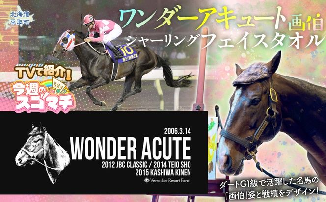 【TVで紹介！】【ワンダーアキュート画伯】シャーリングフェイスタオル BRTV205